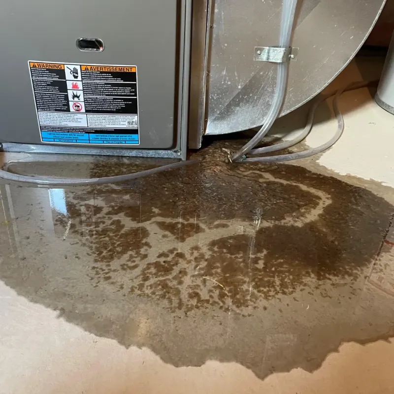 Appliance Leak Cleanup in Howell County, MO