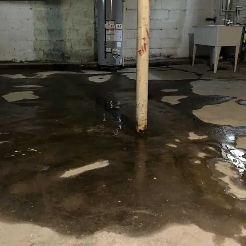 Emergency Water Extraction And Removal in Howell County, MO